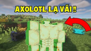 MÌNH TÌM ĐƯỢC AXOLOTL MÀU XANH LÁ CÂY TRONG MINECRAFT !! *ĐẸP VÃI NỒI*