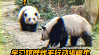 Kazuha sangat pandai menjual pedang