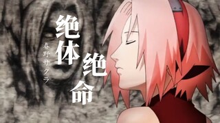 【春野樱】“我从来没有后悔喜欢你”