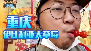 Streamer Really Knows How to Play: Yangshu Food Review - Iberian Giant Strawberry #173