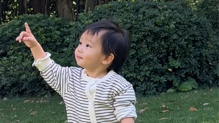 看！有飞机！咻～