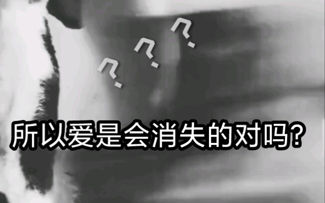 我在河北，为狸花猫发声