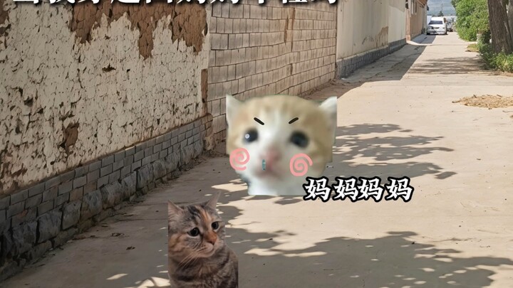 Khi tôi xuyên về thời mẹ còn trẻ