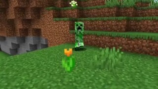 Minecraft: Đối xử với creeper như người Nhật