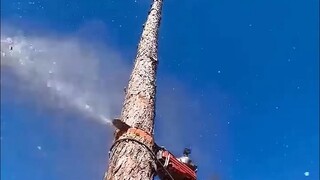 熟练的工人们令人惊叹的工作现场~