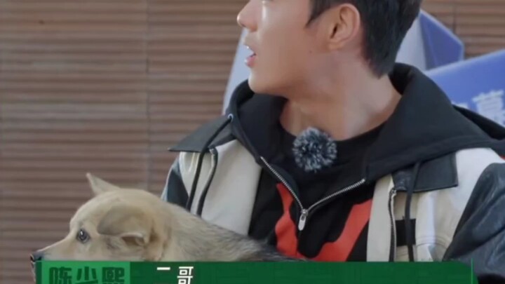 They were all just staring at Little Wolf during the meeting—so well-behaved in Chen Ber’s arms!