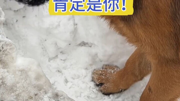 Tôi cũng chỉ là tốt bụng thôi, tôi chẳng làm gì cả.