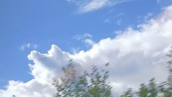 v26044gc0000da8s8tfog65uaorosf80