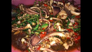 กระเพราหนวดปลาหมึก