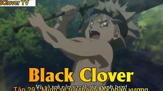 Black Clover Tập 29 - Mình sẽ trở thành Ma pháp vương