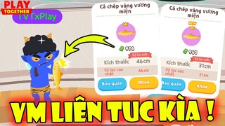 Bất Ngờ Phát Hiện Vị Trí Câu Cá Chép Vàng VM Lên Liên Tục Kìa | Play Together