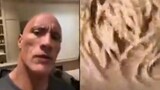 The Rock reacting to a cooking tiktok