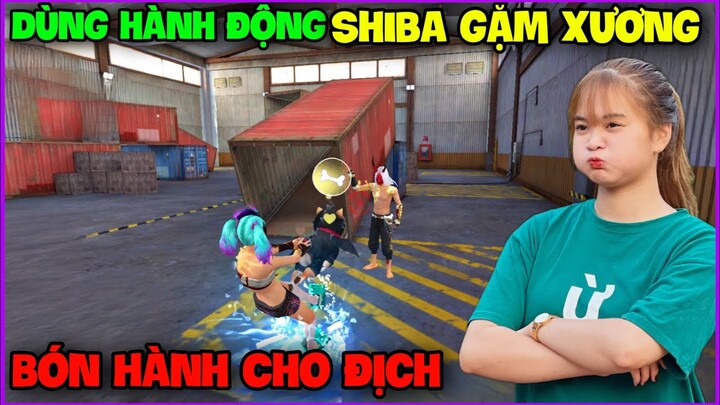 Ngọc Diễm Dùng Hành Động Shiba “Bón Hành” Cho Địch Liên Tục, Không Ngoáp Nổi  !!!