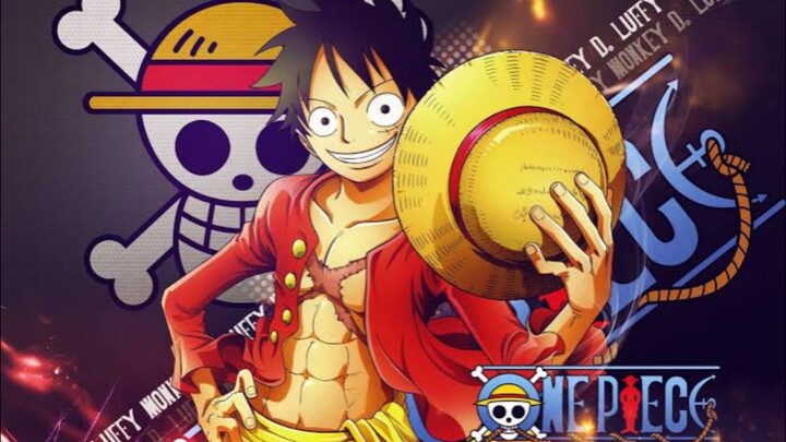 top 25 luffy fights