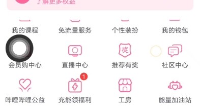 After using this Bilibili account for so long, it turns out it’s not even mine!