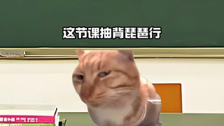 当语文老师抽背《琵琶行》时