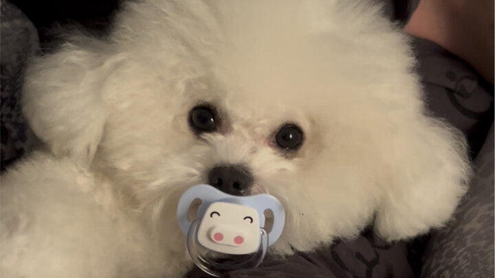 测试把奶嘴拿掉会不会哭……