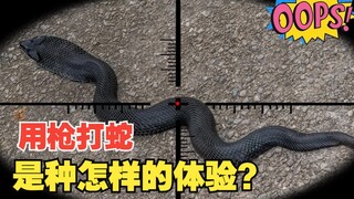 用枪打蛇，是种怎样的体验？
