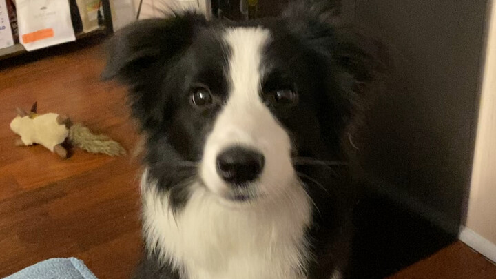 Hóa ra Luna là fan của Khôn Khôn!