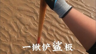 سمكة قرش يمكنها تخطي المجرفة