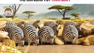 Thế giới động vật