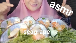 ASMR KERANG + RUMPUTLAUT (SEAGRAPE) +UDANG