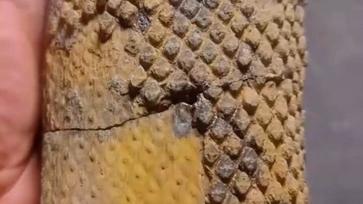 Mengapa batu bara tidak dapat diperbarui?