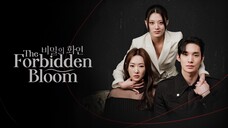 The Forbidden Bloom (Korean Short Drama)