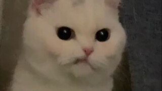 I think we've got food poisoning.