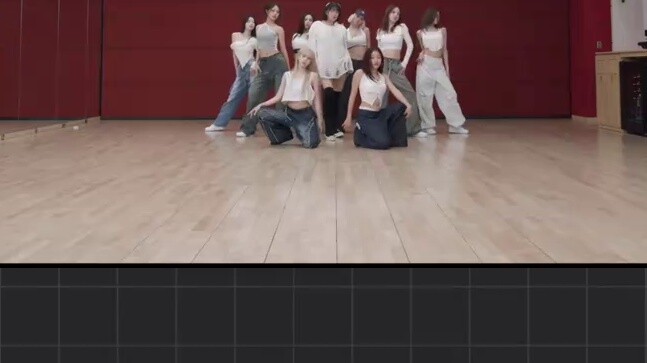 [Must-have for dance stalks] TWICE- strategy movement lines [mirrored]