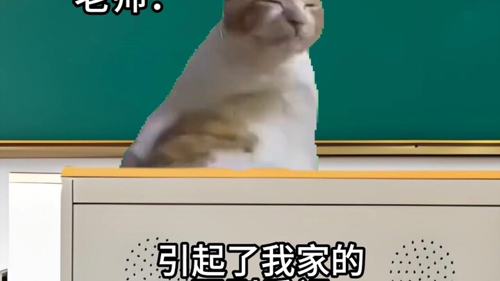 当老师睡迷糊开家长会