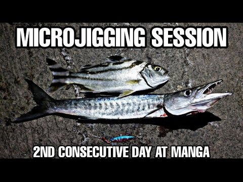 Fishing in Bohol, Philippines Ep. 19 | Manga Fish Port Microjigging Day 2