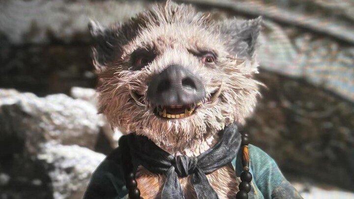 Cậu chỉ thích Lão Trư thôi, đến lợn còn không tin!