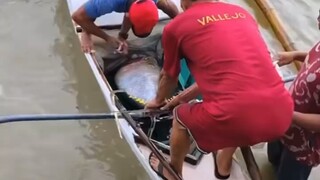 两面三刀，三五成群，闲言碎语，学问不高，心眼不少。层次不同，不必争辩，烂人烂事，不必纠缠😠