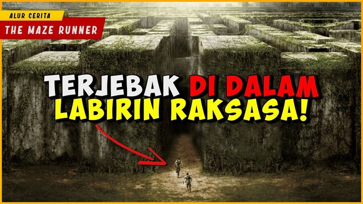 Ketika Terjebak Di Dalam Tembok Labirin Raksasa