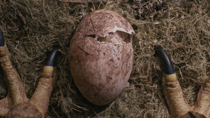 [Yue Ge] Another beautiful movie. The only regret is that too few people know about it!