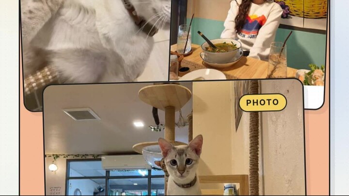 Four-Paw Welcome Team | ทีมต้อนรับสี่ขา