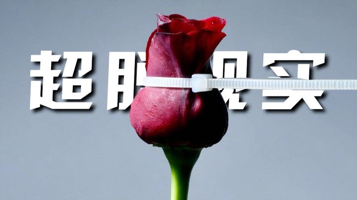 艺术家说，这个世上没有什么“本该如此”