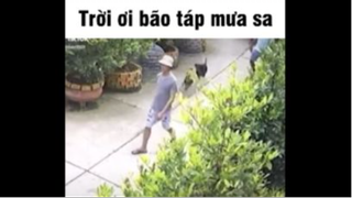 trời ơi bão táp mưa sa