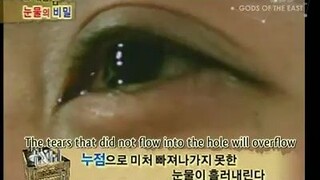 Explorers of the human body(Super Junior) Episode 8
