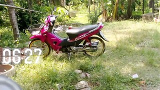 Wave  100ชมพู่