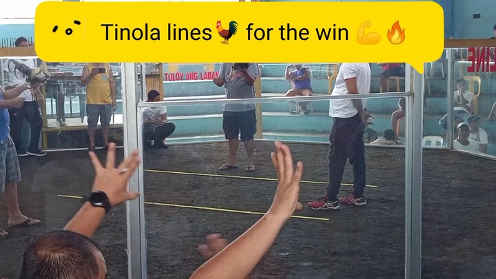 tinola lines for the win💪🐓🔥
