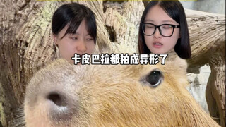 When my boss gave me a critical review of the zoo promotional video I shot
