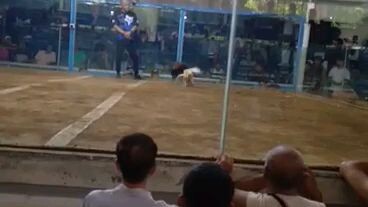 cavite coliseum superblack