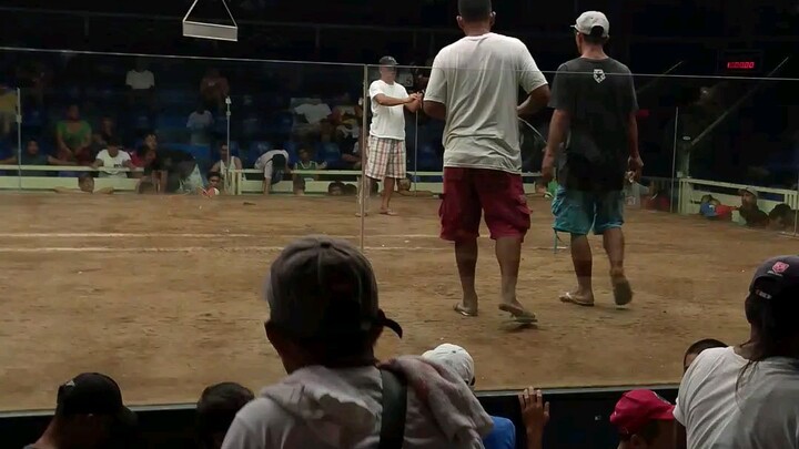 bulik hock fight