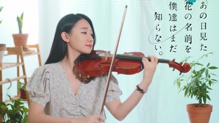 【小提琴】催淚經典・未闻花名十周年「Secret Base～你给我的所有～君がくれたもの～」黄品舒