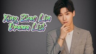 Xing Zhao Lin 邢昭林 Drama List ( 2016 - 2023 )