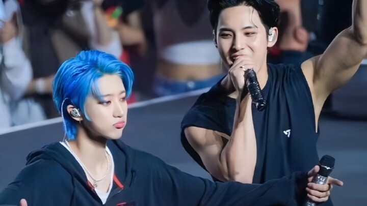 Trong mắt chú cún, số 8 đẹp và đáng yêu đến nhường nào nhỉ