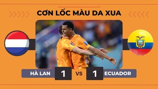 Hà Lan là cơn lốc, nhưng Ecuador lại là tường gió | Tiêu điểm Hà Lan vs Ecuador