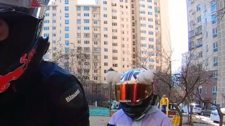 当代仿赛车主面对媳妇意外怀孕的教科书式处理方法